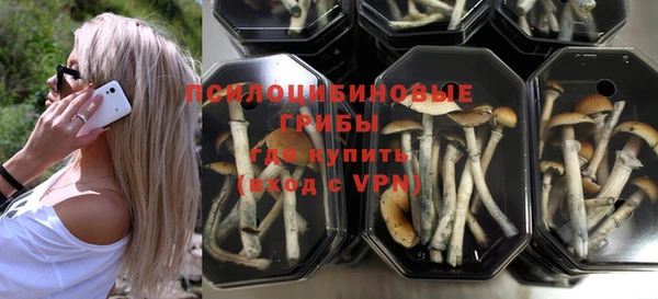 ешки Лиски