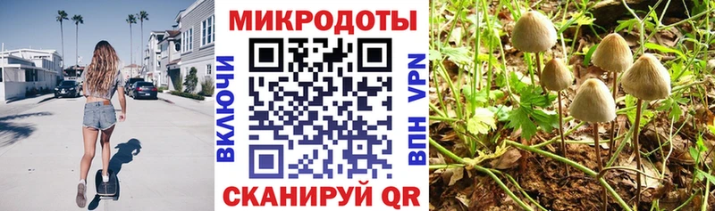 Псилоцибиновые грибы Cubensis  Янаул 
