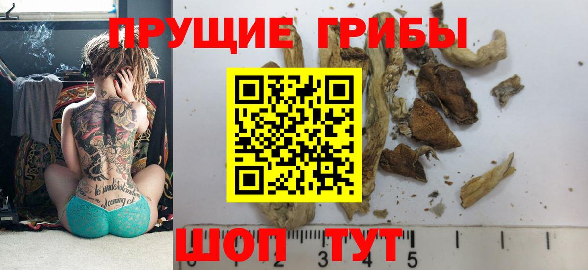 Янаул  наркошоп  Вход с VPN  Псилоцибиновые грибы GOLDEN TEACHER 